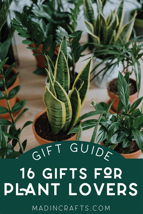 unique gifts for plant lovers